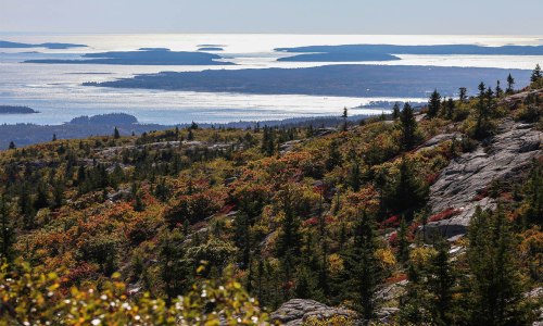 Acadia National Park view from one of the trails